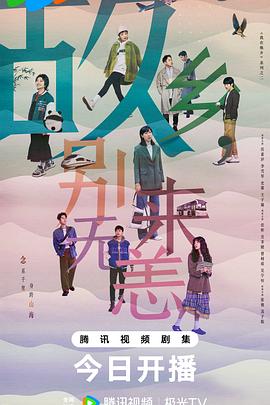 邹城seo优化机构